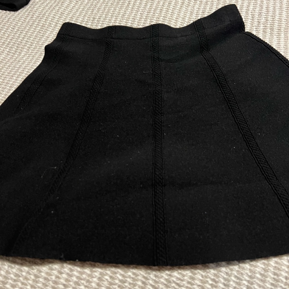 Zara Basic Black Knit skirt